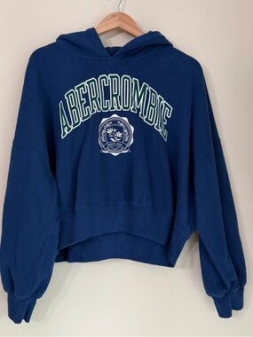 Abercrombie & Fitch Navy Pullover Hoodie